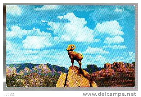 Jolie CP à Localiser - Sentinel Of The Guard Sculpture By Valenty Zaharack - Bighorn Mountain Sheep - Animal Mouflon ?? - Other & Unclassified