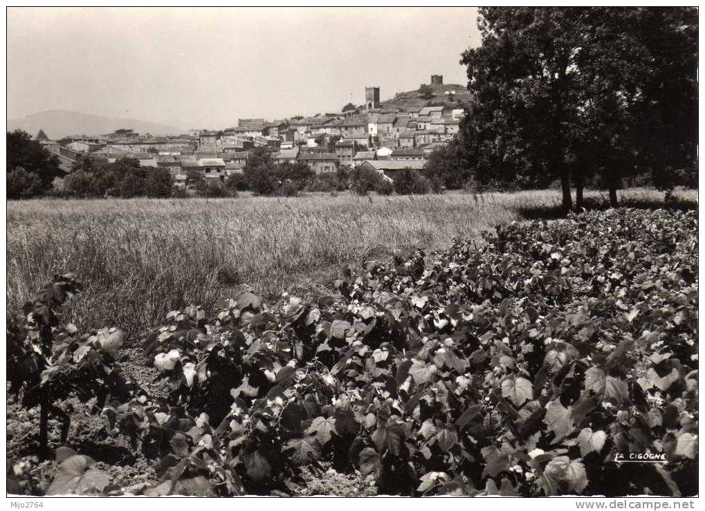 COGOLIN    COGOLIN ET SES VIGNOBLES - Cogolin