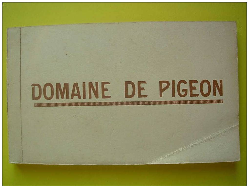 Pigeon Carnet 20 Cp - Autres & Non Classés