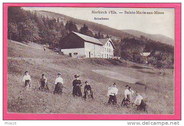 SAINTES MARIE AUX MINES  Schafhaus    Animation - Sainte-Marie-aux-Mines