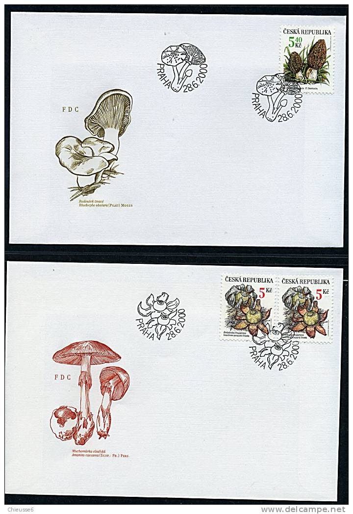 Rep. Tchèque N ° 241 à 244 Sur 4 Enveloppes 1er Jour - Champignons Rares ( 1 P29/30) - Oblitérés