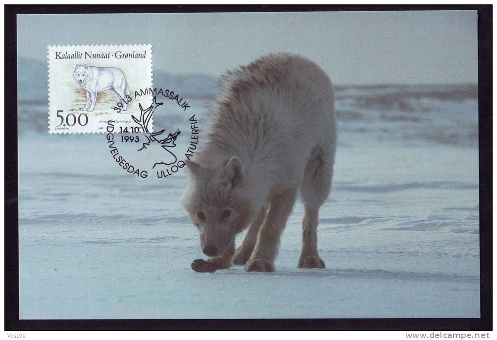 POLAR  ANIMAL,FOX , MAXICARD 1993 GROENLAND .(B) - Arctic Wildlife