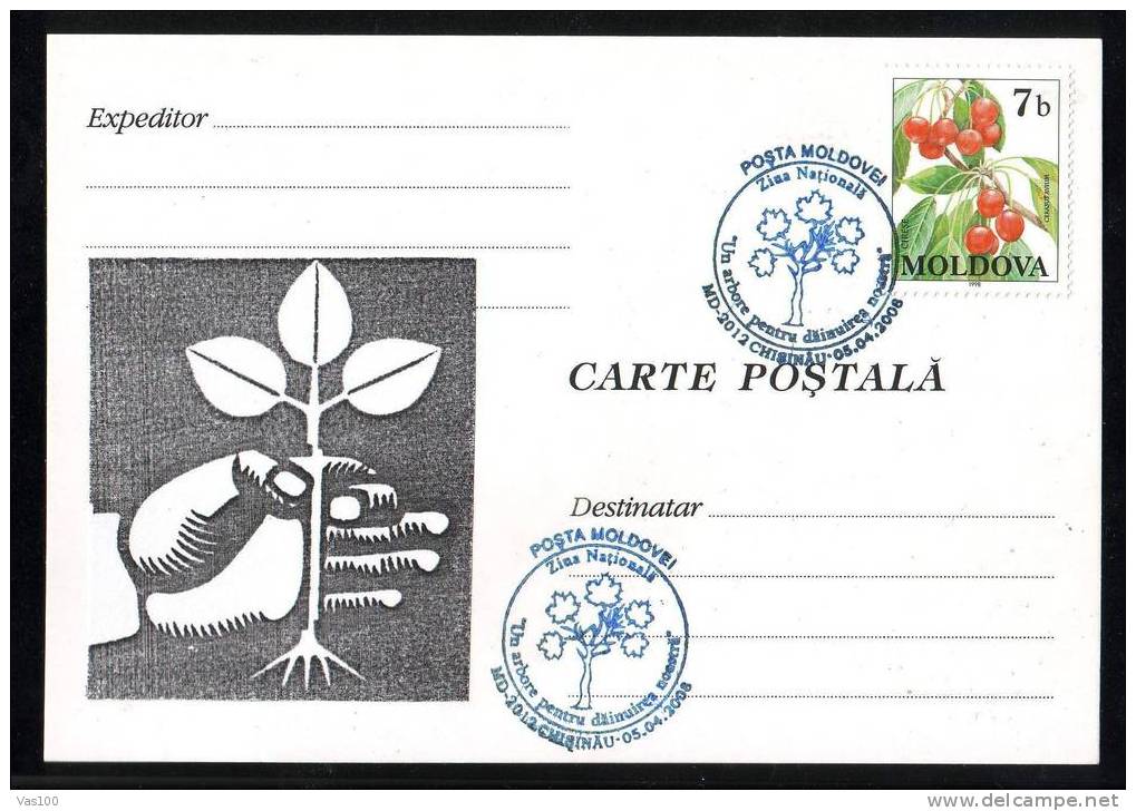 MOLDOVA 2008 FDC   ARBRES Cancell With Aditional Stamp!. - Bäume