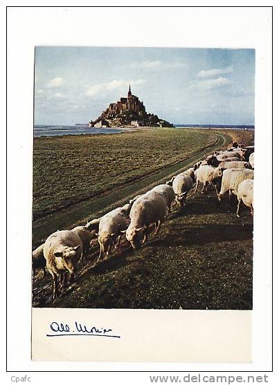 Carte Environ 1980 Signée Albert Monier - MONT ST MICHEL DIGUE A MAREE BASSE ET MOUTONS - Monier