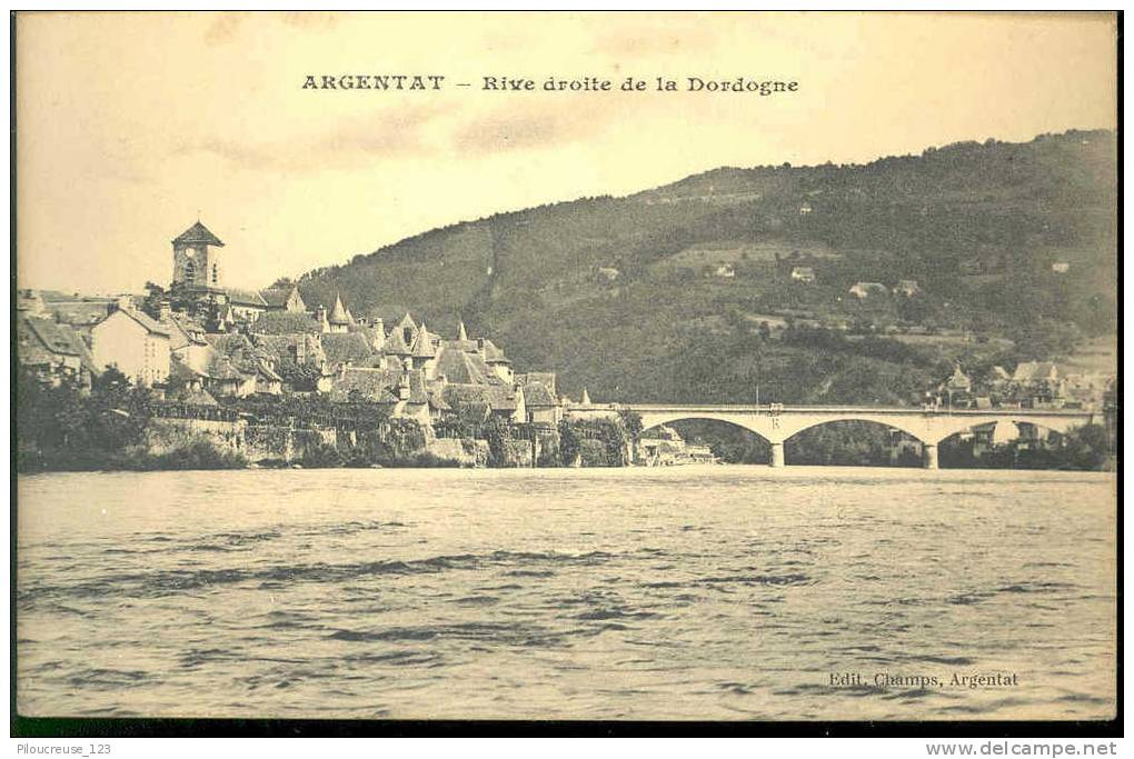 19 - ARGENTAT  - "" Vue Générale, Rive Droite De La Dordogne "" - Argentat