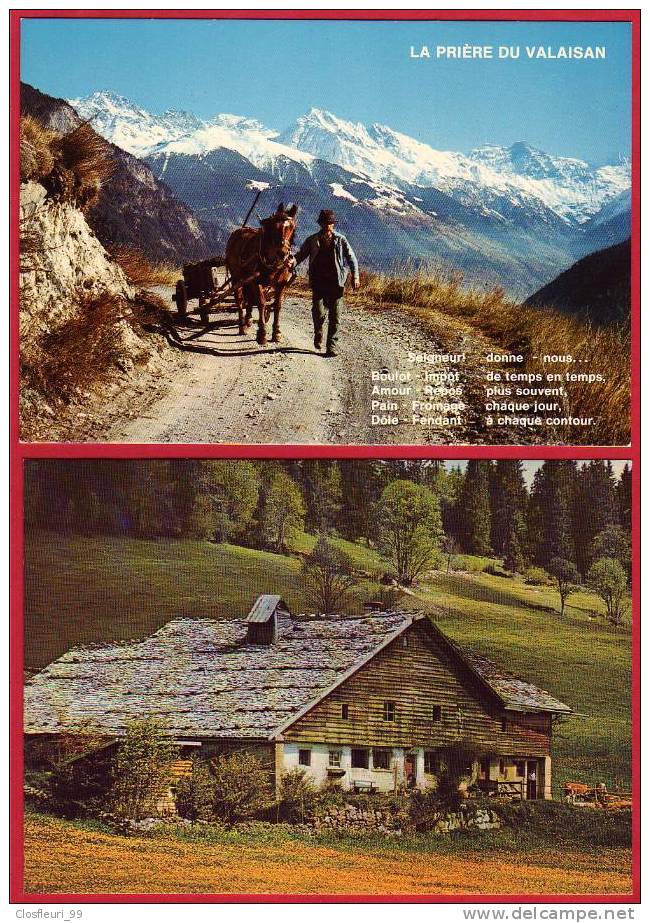 Vie Montagnearde, Bergers, Armaillis, Sur L´Alpe, Bétail à L´alpage, Lieucxx De Rêve.  Six (6) Cartes - Breeding