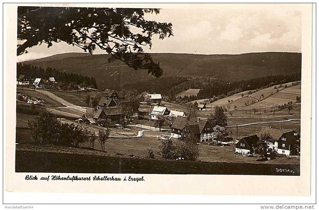 AK 473 Blick Auf Höhenluftkurort Schellerhau I. Erzgeb. 17. 1.64. -- 9 SCHELLERHAU KIPSDORF (ERZGEB) A Nach Zella-Mehlis - Schellerhau