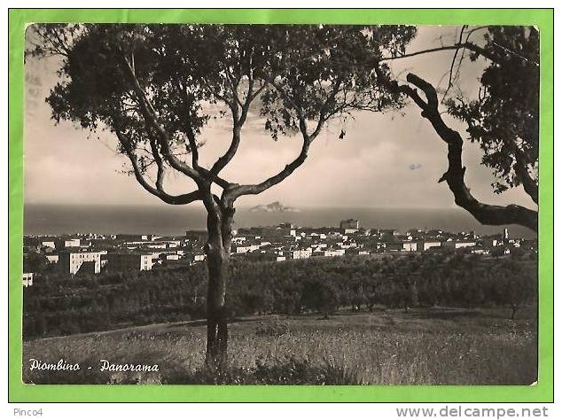 PIOMBINO PANORAMA CARTOLINA FORMATO GRANDE VIAGGIATA NEL 1955 - Livorno