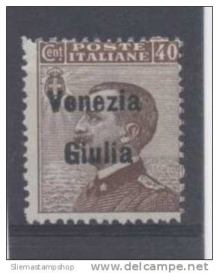 ITALY COL. - 1918/19 VENEZIA GIELIA - V3234 - Nuevos