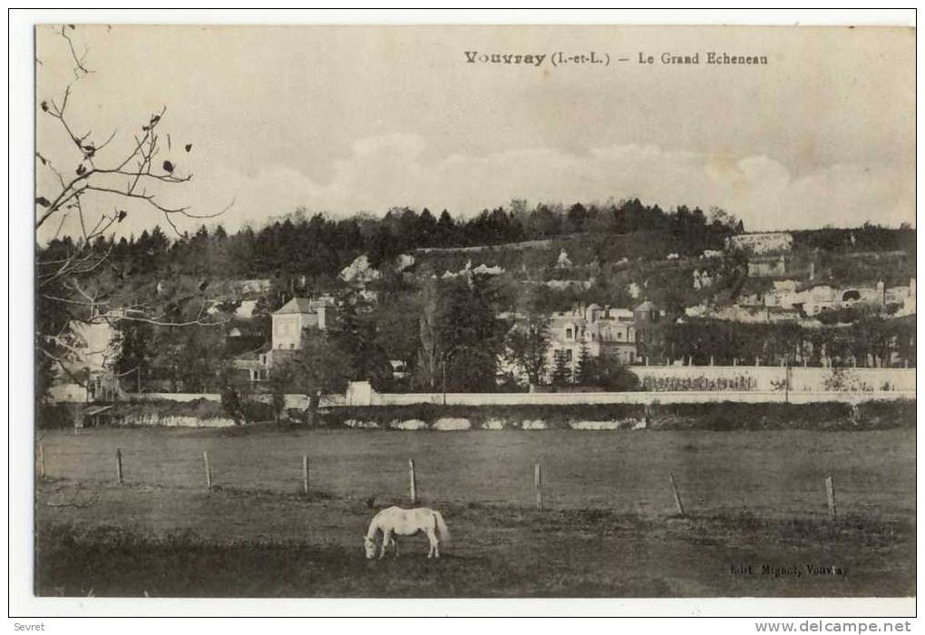 VOUVRAY. - Le Grand Echeneau - Vouvray