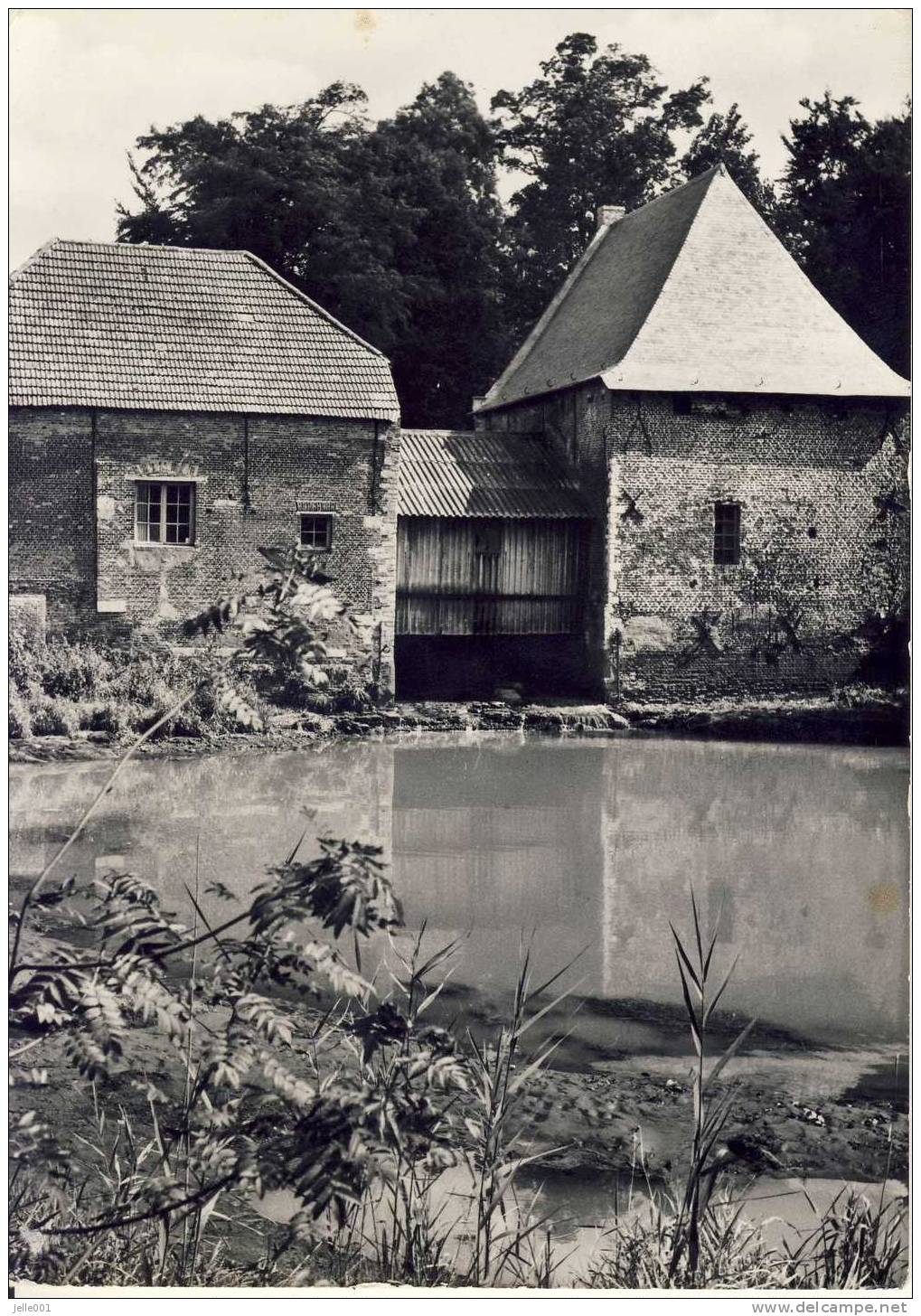 Grobbendonk  Watermolen Nr. 8 - Grobbendonk