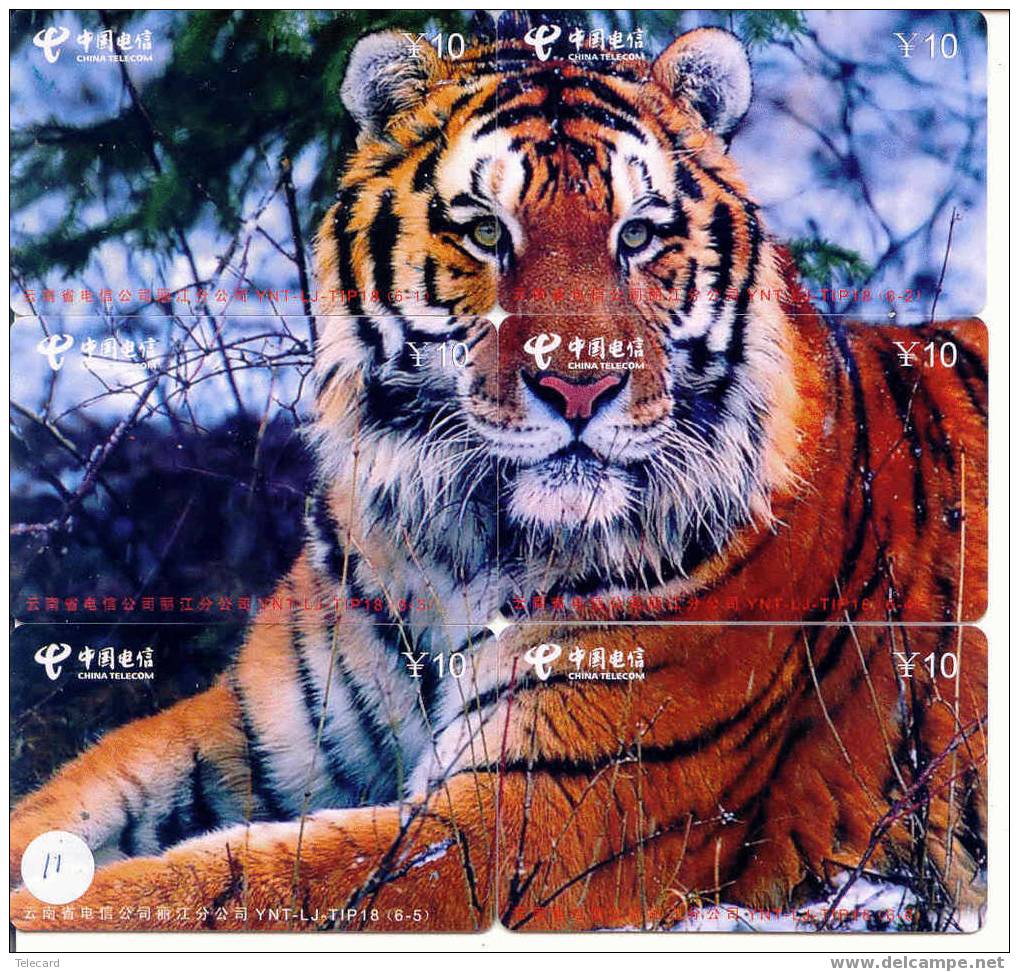 6 Telecartes EN PUZZLE DE TIGRE TIGER TIJGER 6 Phonecards (11) - Jungle