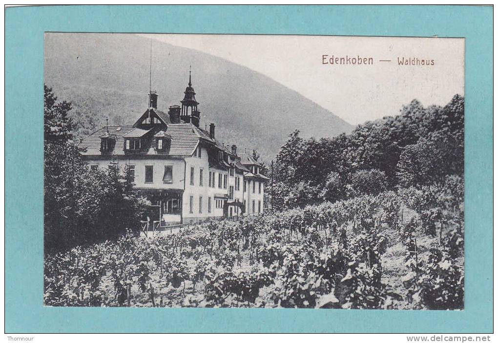 EDENKOBEN  -  Waldhaus  -  1919    -  BELLE CARTE  - - Edenkoben