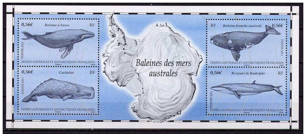 TAAF -  BALEINES DES MERS AUSTRALES   - BLOC FEUILLET        NEUF** - 2011 - Whales