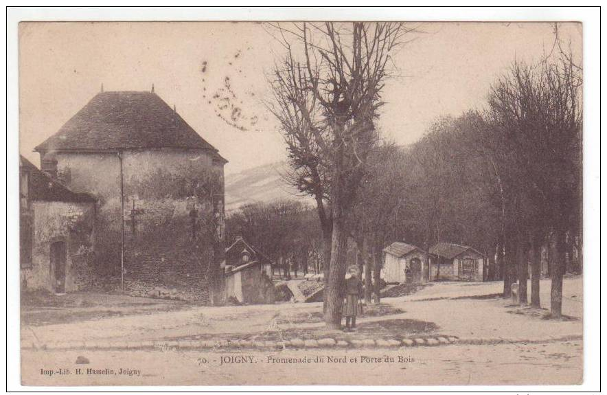 Joigny -  Promenade Du Nord Et Porte Du Bois - Joigny