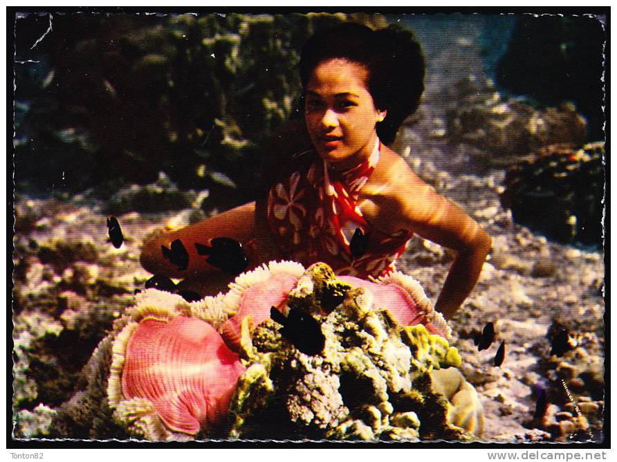 Bora - Bora - Jeune Tahitienne Dans Le Lagon - French Polynesia