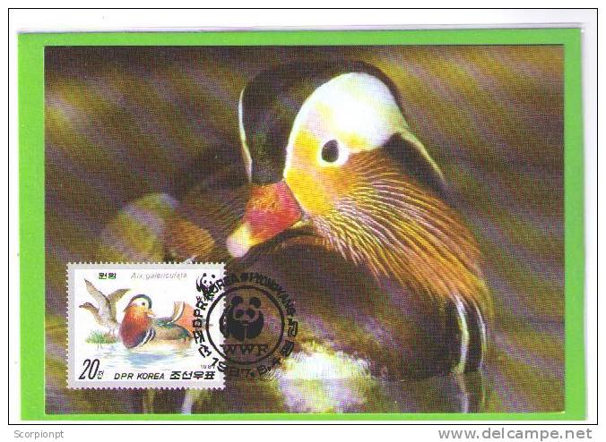 Carte Maximum Card WWF Oiseaux Birds Ducks Pajaros KOREA  "Mandarin Duck" Aves Faune Animals  Sp391 - Canards