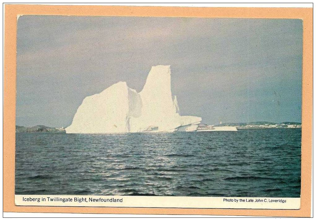 Iceberg In Twillingate Bight, NEWFOUNDLAND, NL, CANADA, Canadian Postcard Carte Postale Post Card - Sonstige & Ohne Zuordnung