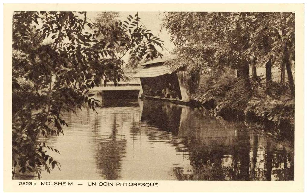 67- Molsheim Un Coin Pittoresque Lavoir Lavandières - Molsheim