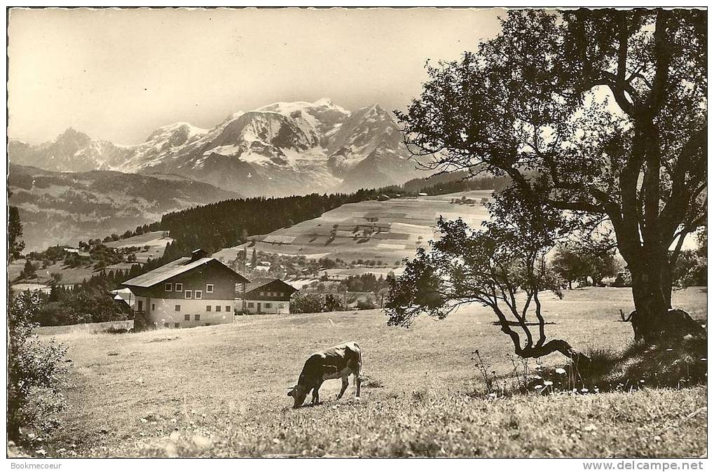 74   COMBLOUX  ALT 986m ET LE MASSIF DU MONT BLANC 4807m - Combloux