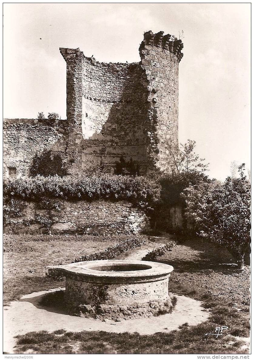 Yvelines - Chevreuse , Ruines De La Madeleine , La Tour Fendue Et Le Puits De 85 M - Chevreuse