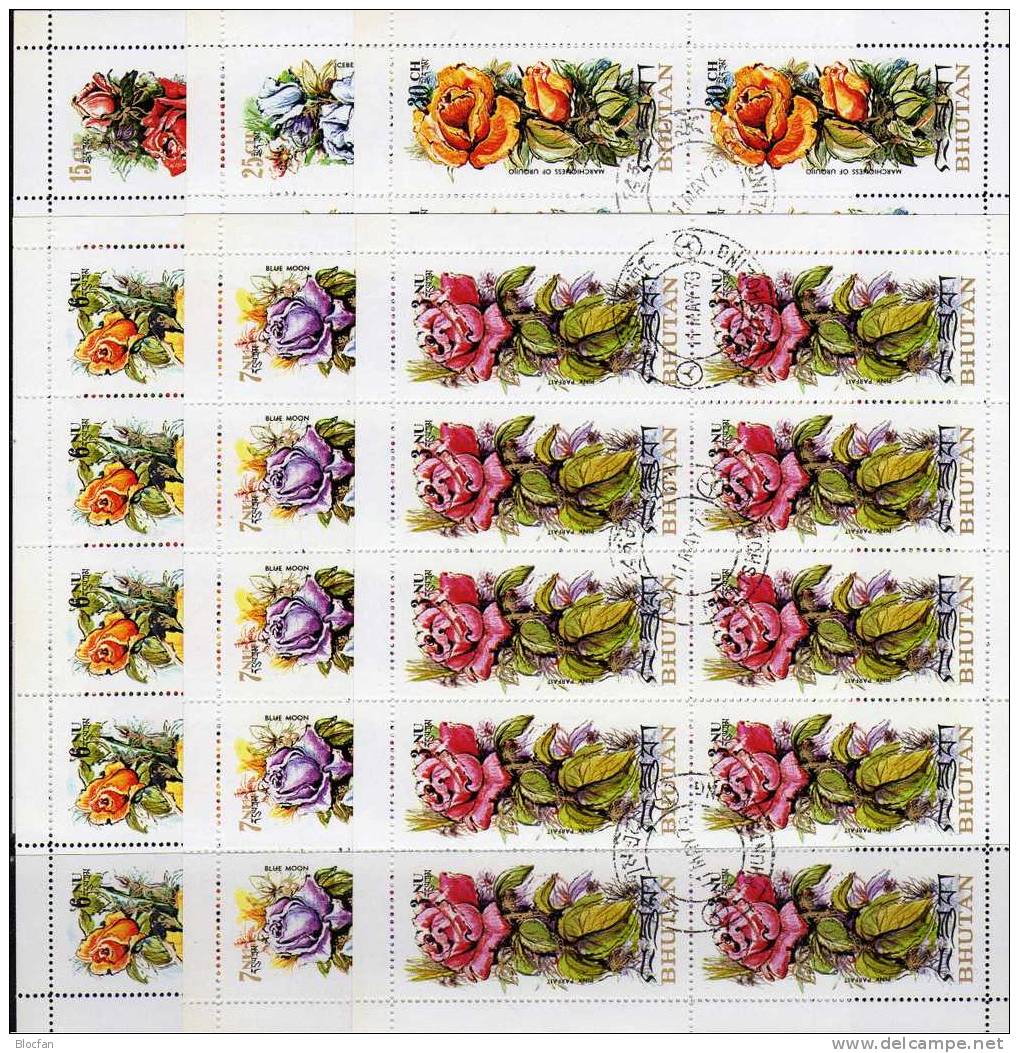 Rosen-Set Bhutan 545/50 Plus Kleinbogen O 55€ Duftende Rose 1973 Bf M/s Flora Rose Iceberg Bloc Flower Sheetlet Of Asia - Collections (en Albums)