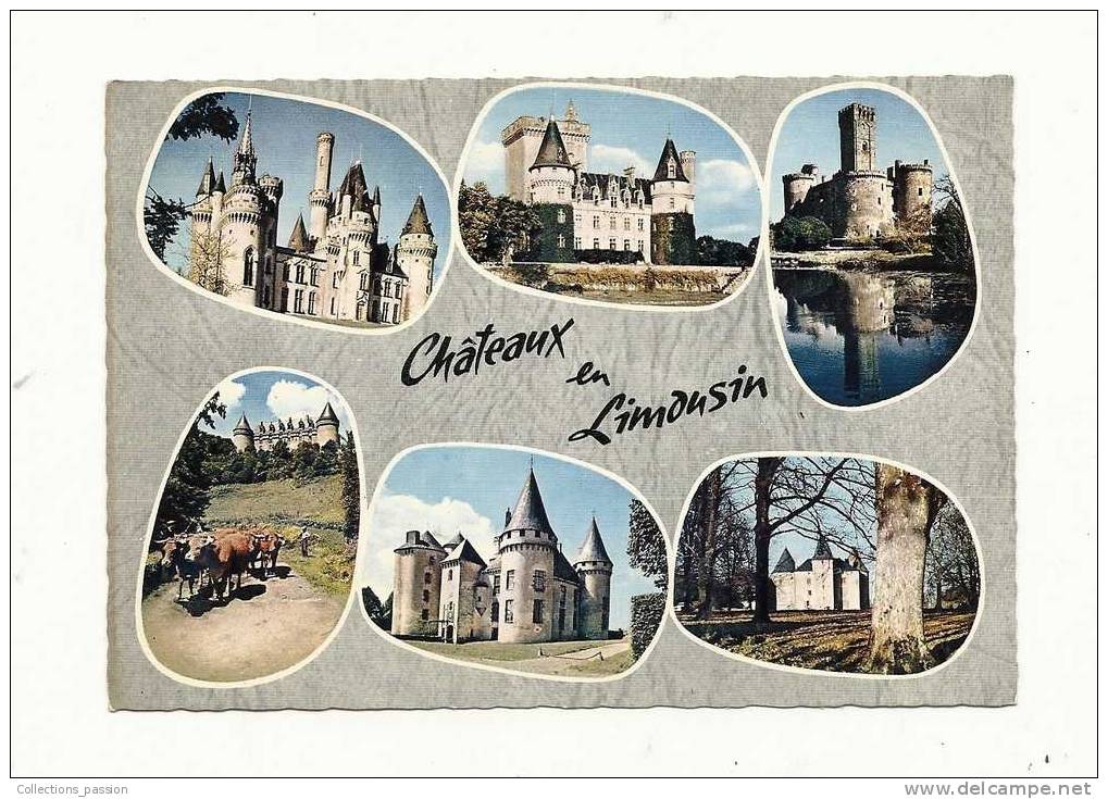 Cp, Régions, Limousin, Chaâteaux En Limousin, Multi-Vues - Limousin