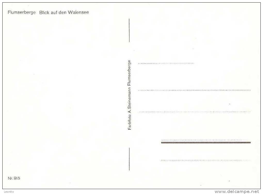 Flumserberge Blick Auf Den Walensee - Berg
