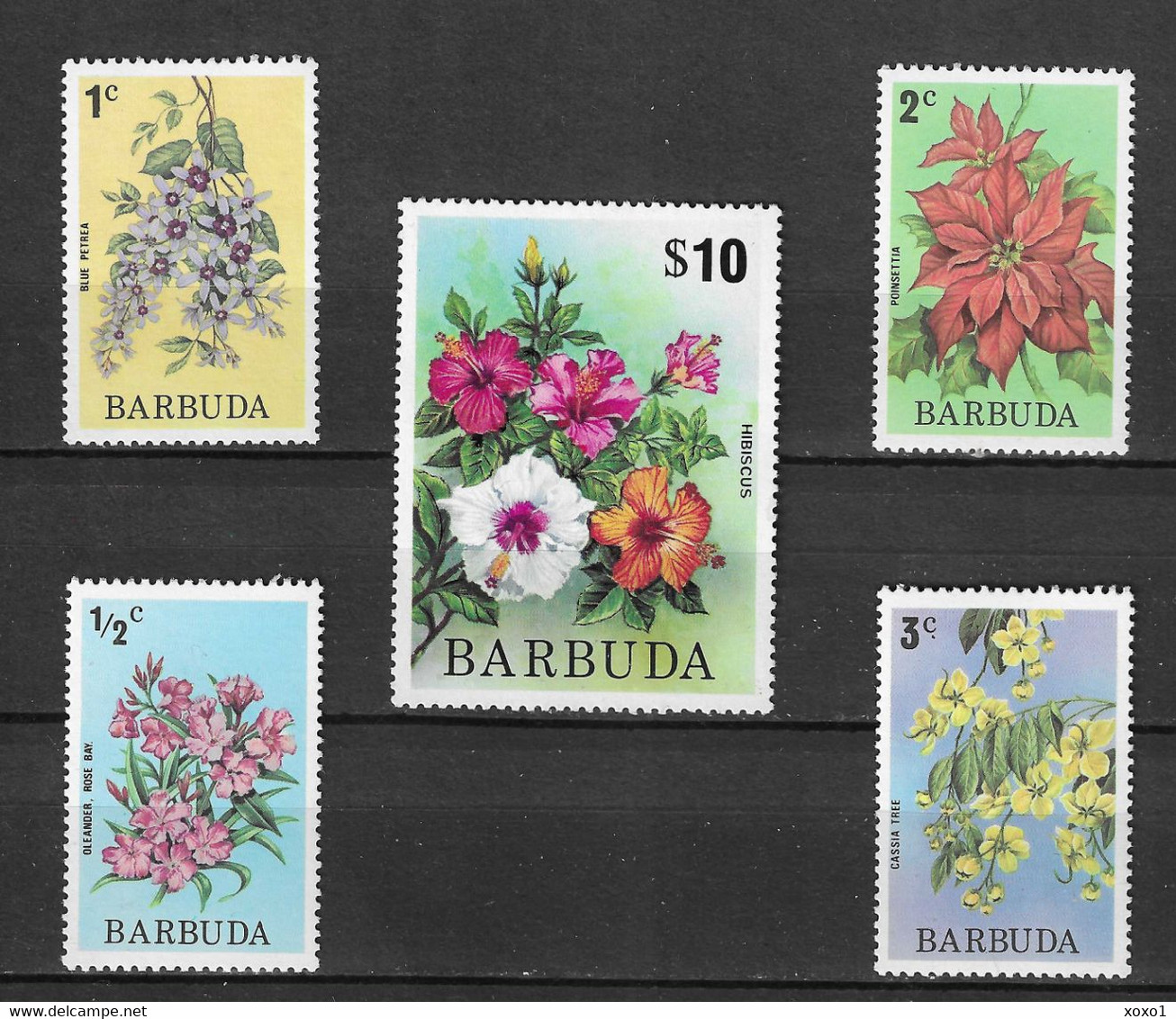 Barbuda 1974-5 Plants FLOWERS Hibiscus Oleander  Clematis Poinsettia Cinnamon Tree  5v MNH** 11.80 € - Barbuda (...-1981)