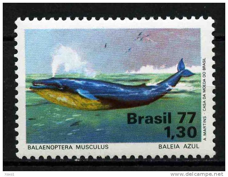 Brazil 1977 MiNr. 1597 Brasilien Whale Marine Life 1v MNH** 6,00 € - Nuovi