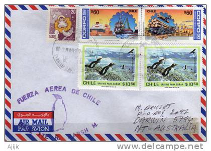 CHILI.  Force Aerienne Du Chili. Base Aeronautique Antarctique Rodolfo Marsh  1989 - Research Stations