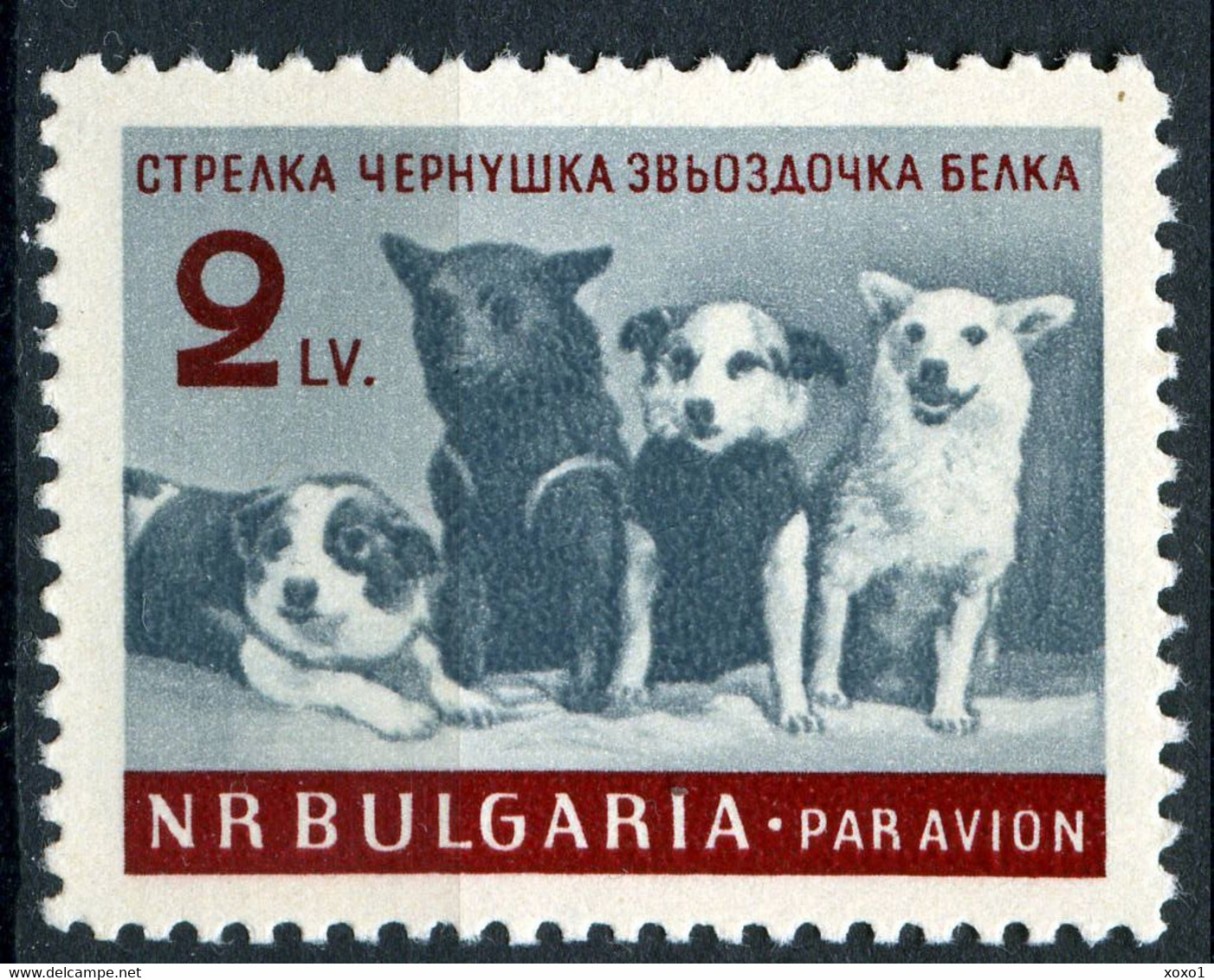 Bulgaria 1961 MiNr. 1249 Bulgarien Soviet Cosmonaut Dogs SPACE 1v MNH** 6,00 € - Otros & Sin Clasificación