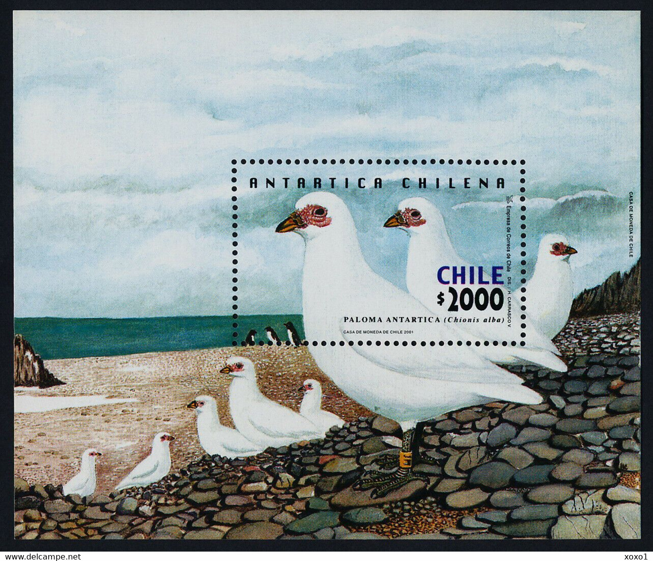 Chile 2001 MiNr. (Block 52) South Pole  Antarctic Wildlife Birds Snowy Sheathbill 1bl MNH** 13,00 € - Antarctic Wildlife