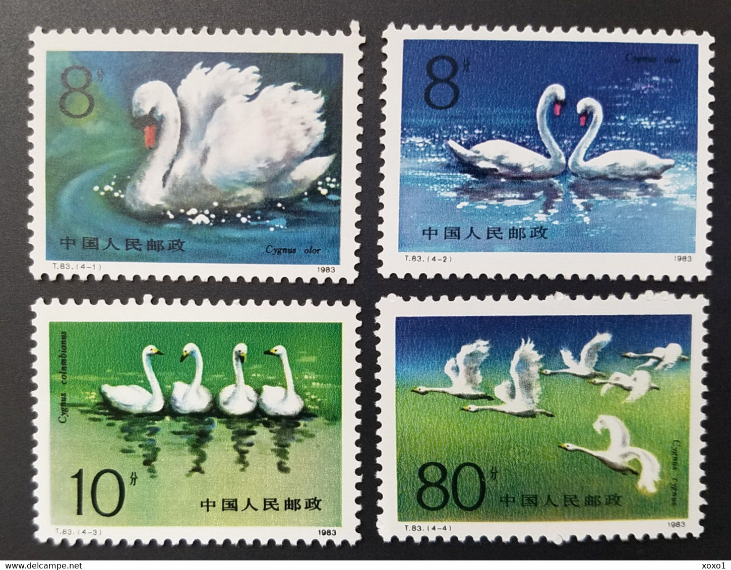 China 1983 MiNr. 1906 - 1909 Volksrepublik Birds Swans 4v MNH** - Swans