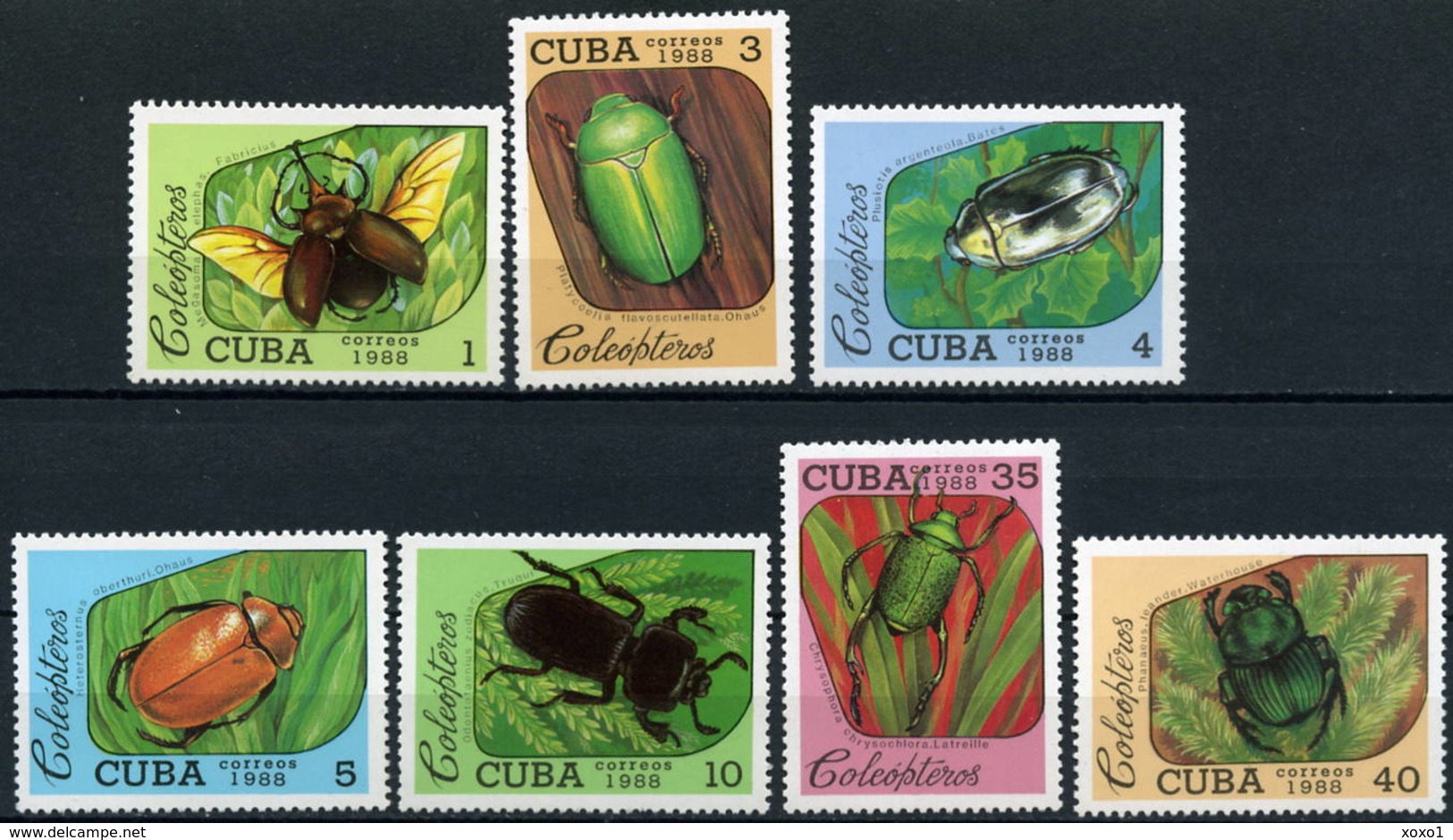 Cuba 1988 Mi.No. 3192 - 3198 Kuba  Bugs  Käfer   Insects  7v  MNH** 5,00 € - Neufs