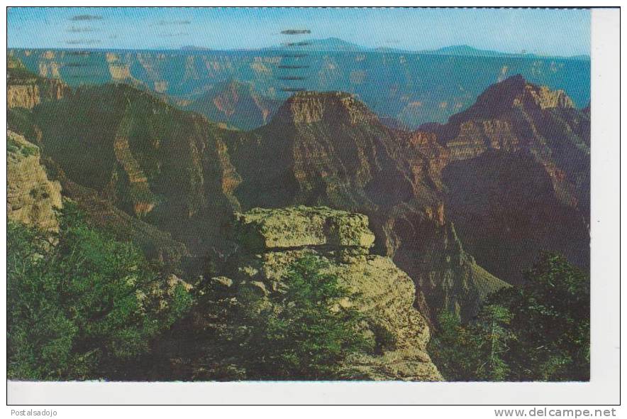 (EUA298) GRAND CANYON NATIONAL PARK. BRIGHT ANGEL POINT - Grand Canyon