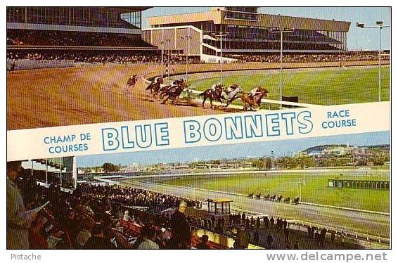 Montréal - Champ De Courses Blue Bonnets Race - Chevaux Horses - Neuve  - 2 Scans - Montreal