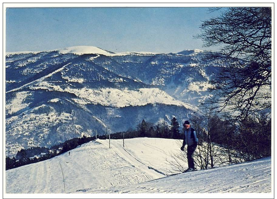 Frenz,cp Animée Skieur Et Vue Générale - Autres & Non Classés