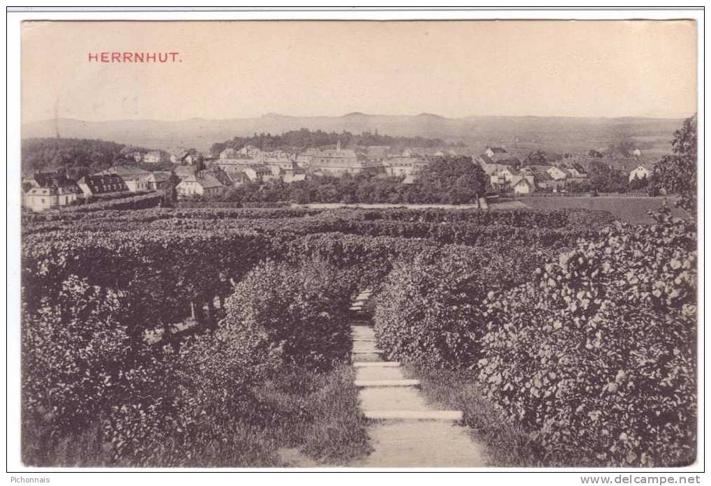 Deutschland  HERRNUT   Field - Herrnhut