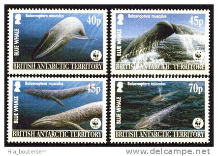 B.A.T. British Antarctic Territory : 05-12-2003 : (**) Set Of 4V : Blue Wale - With WWF-Logo - Altri & Non Classificati