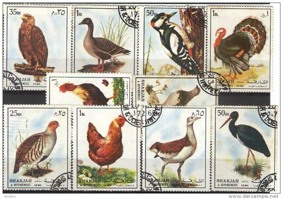 1972, Sharjah,  Farm Birds - Oiseaux - Uccelli - Pajaros, Vogels, Used - Sharjah