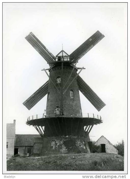 RUDDERVOORDE Bij Oostkamp (W.Vl.) - Molen/moulin - Prachtfoto 18x24 Cm. Van De Verdwenen Termotemolen Ca. 1930 - Places