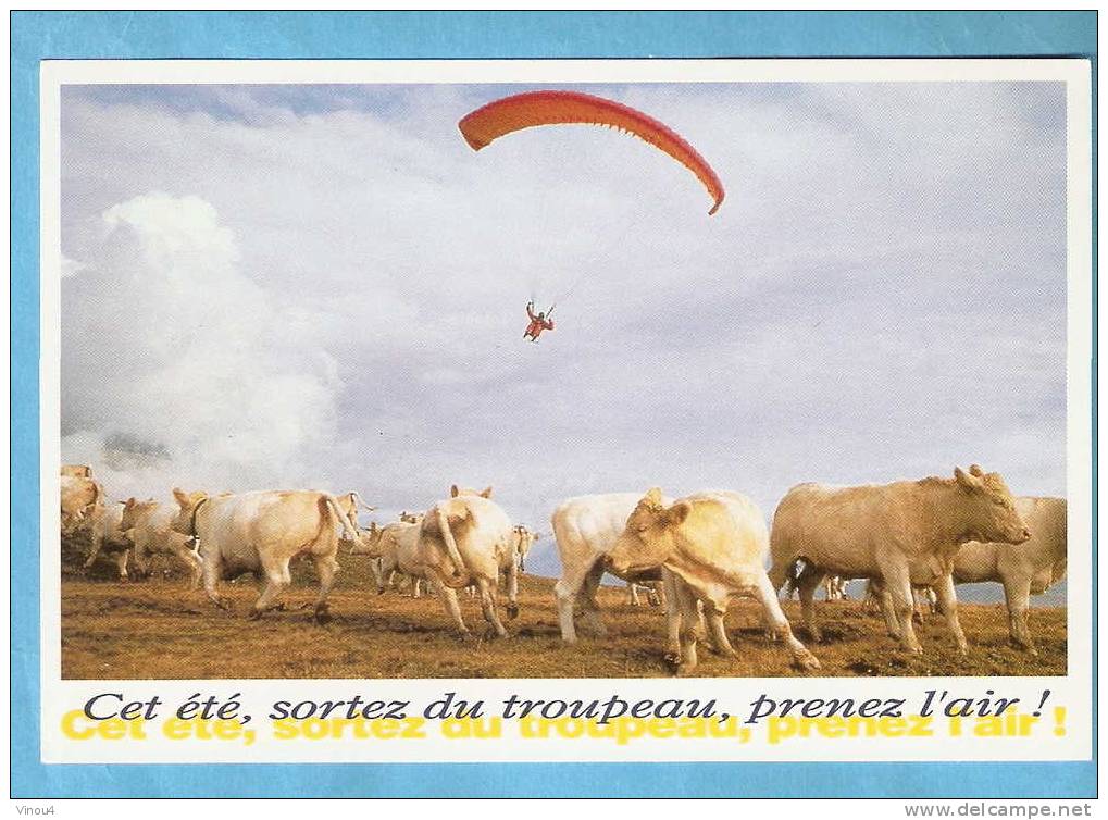 CP -Parapente Alpes D'Huez 1992- Troupeau De Vaches - Cet été, Sortez Du Troupeau, Prenez L'air ! - Paracadutismo