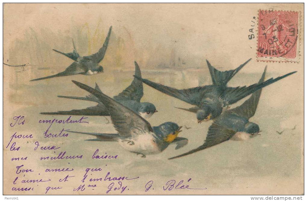 Jolie Carte Fantaisie Oiseaux -  Hirondelles, Dos Non Divisé Ayant Circulé En 1903 - Oiseaux