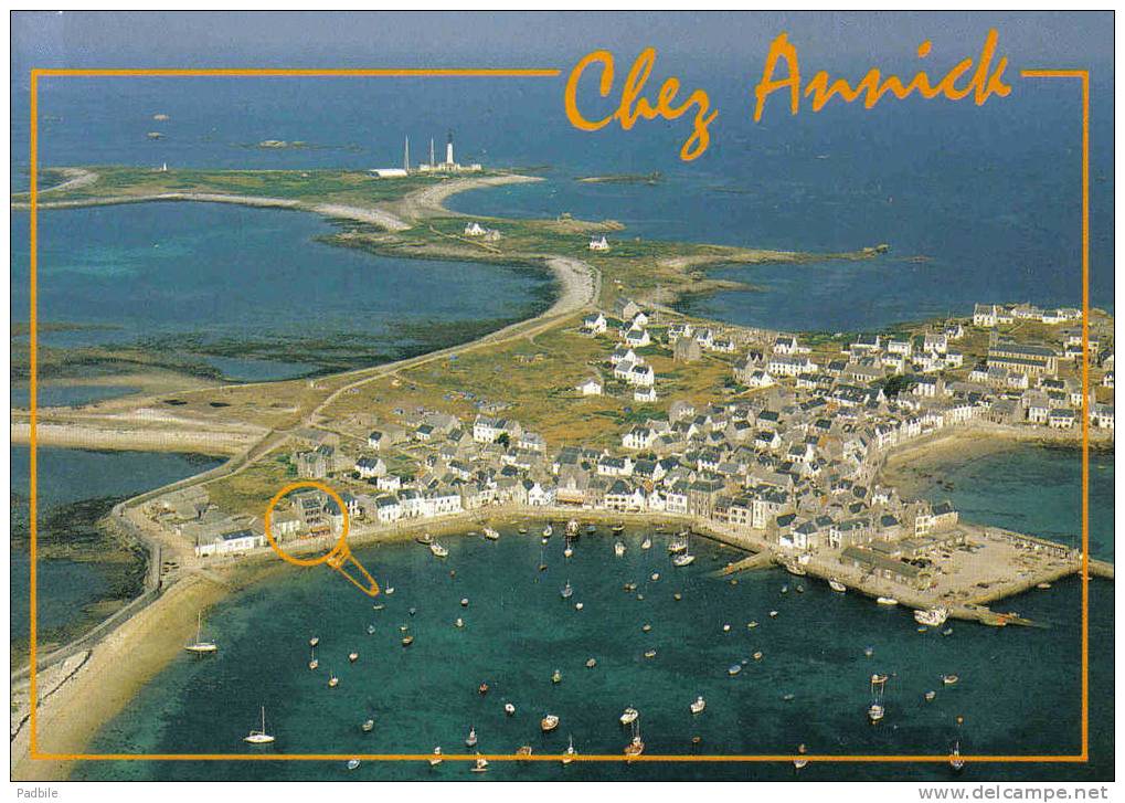 Carte Postale 29. Île De Sein  Et Le Café-Restaurant "Chez Annick"  Quai Des Français  Vue D'avion   Trés Beau Plan - Ile De Sein