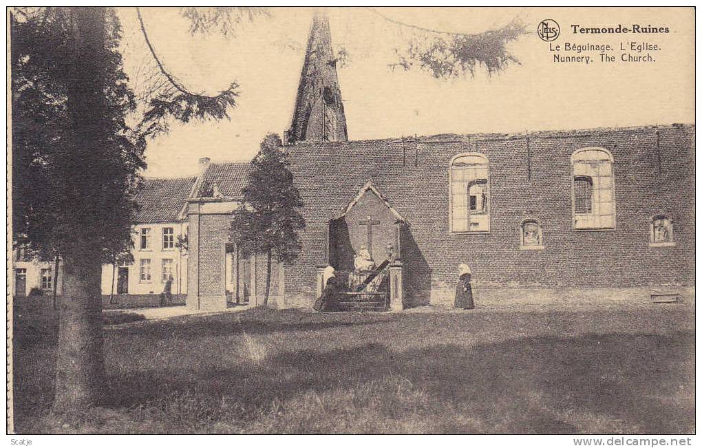 Termonde Naar Veldwezelt / Huis Du Caju - Beeckman / Nels / Prachtige Kaart - Gelopen In 1920 - Begijnhof - Dendermonde