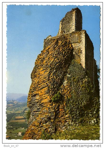 {64228} 07 Ardèche Rochemaure , Ruines Du Vieux Village Féodal ; Le Donjon , Côté Sud - Rochemaure