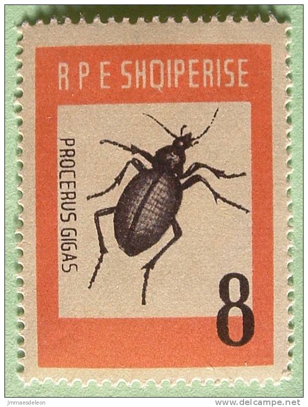 Albania 1963 Insect Beetle Scarab - Albanie