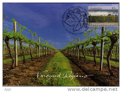 Vignobles De Coonawarra. . Australie Méridionale.   Une Carte-maximum 1992 - Vinos Y Alcoholes