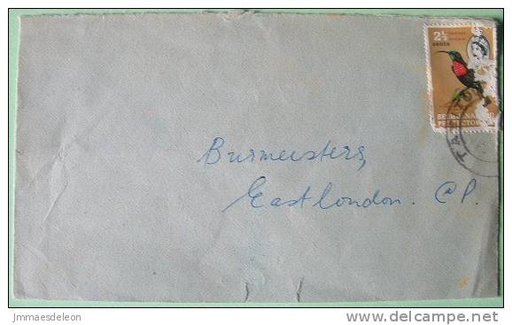 Bechuanaland (Botswana) 1961  Cover Tatitown To East London South Africa - Bird (stamp Very Damaged) Sunbird - Other & Unclassified